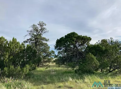 25 Coyote Trl, Datil, NM 87821 photo 5
