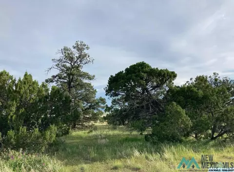 25 Coyote, Datil, NM 87821 photo 5