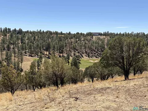 136 Bobby Jones Ct, Alto, NM 88312