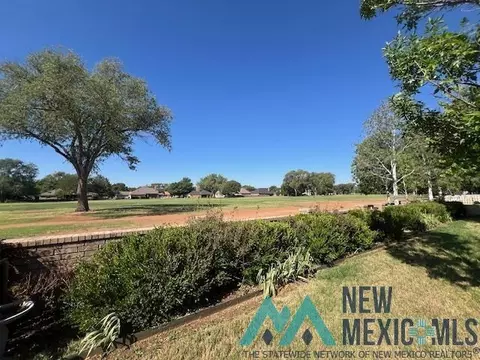 Other - 2304 Fairway Ter, Clovis, NM 88101 photo 5 of 6