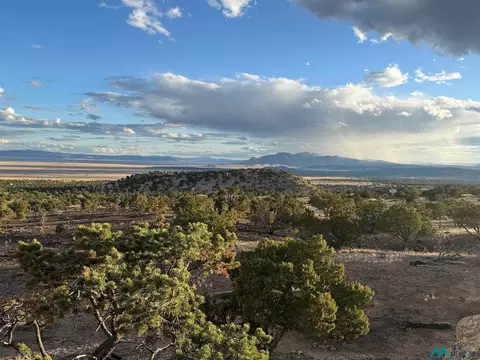 70 Bear Track Trl, Datil, NM 87821 photo 39