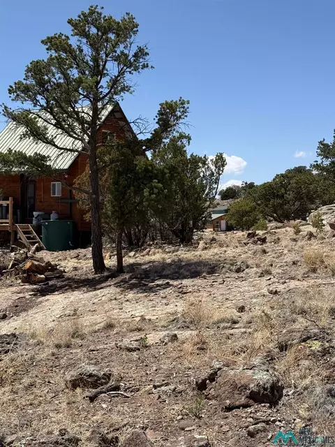 70 Bear Track Trl, Datil, NM 87821 photo 7