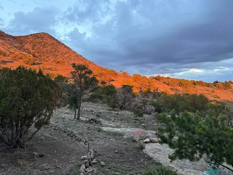 70 Bear Track Trl, Datil, NM 87821 photo 42