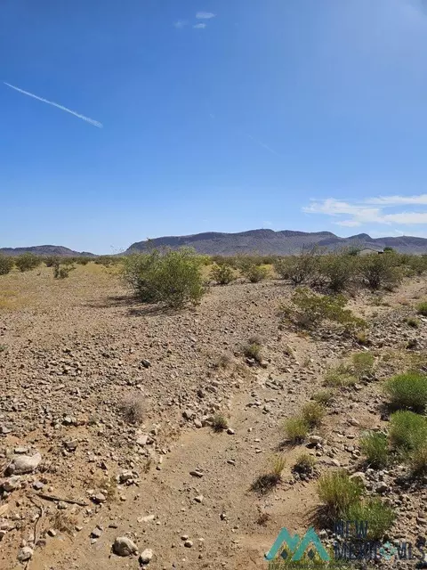 Creosote Rd Se, Deming, NM 88030