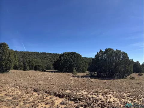 Above Serafina Road, Serafina, NM 87569