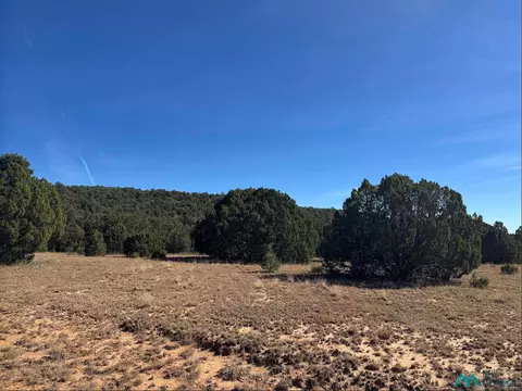 Serafina, Serafina, NM 87569