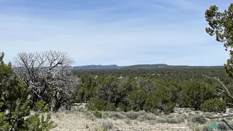 59 Solano Rd, Pie Town, NM 87827