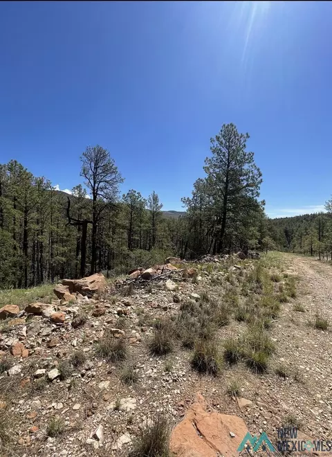 29 Beauregard Dr, Timberon, NM 88350