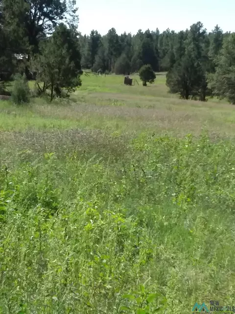344 Forest Rd, Pecos, NM 87552