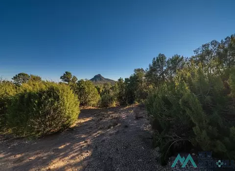 1 48 Acres Off Of Crb26a, Serafina, NM 87569