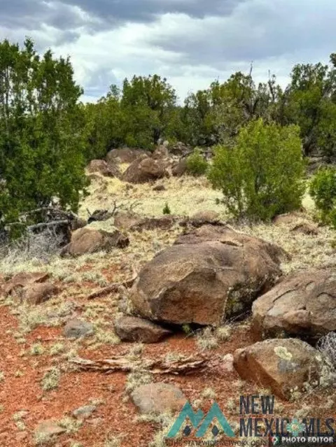 14 Loren Dr, Quemado, NM 87829 photo 18