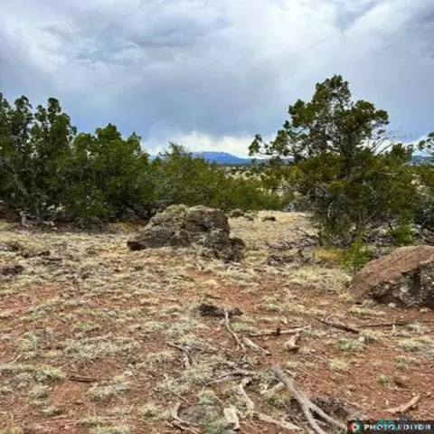 14 Loren Dr, Quemado, NM 87829 photo 19