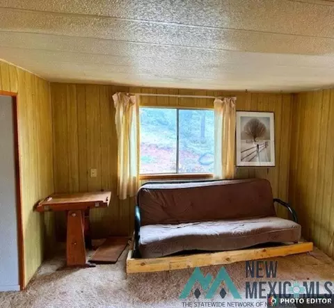 14 Loren Dr, Quemado, NM 87829 photo 5