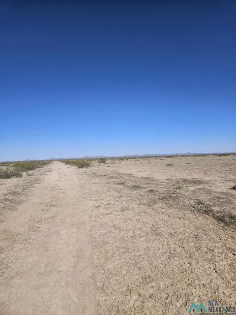Nnn Tyler Rd Se, Deming, NM 88030