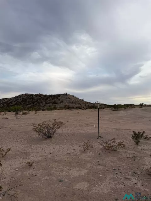 Trujillo Creek, Arrey, NM 87930 photo 5