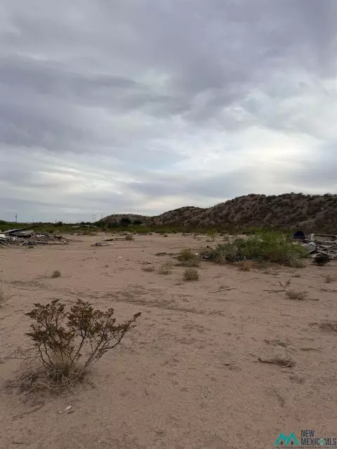 Trujillo Creek, Arrey, NM 87930 photo 6