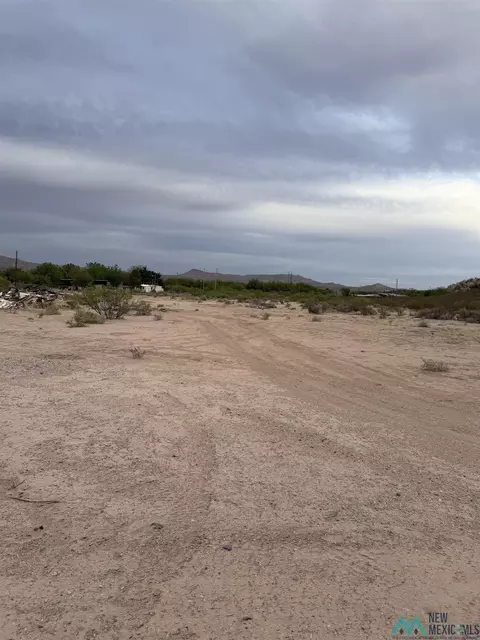 tbd Trujillo Creek Rd, Arrey, NM 87930