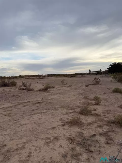 Trujillo Creek, Arrey, NM 87930 photo 4