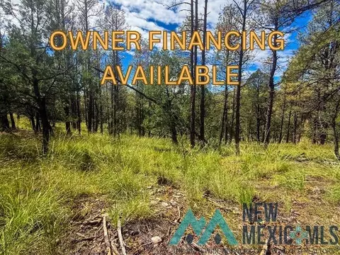 lot20 Marlin Dr, Timberon, NM 88350