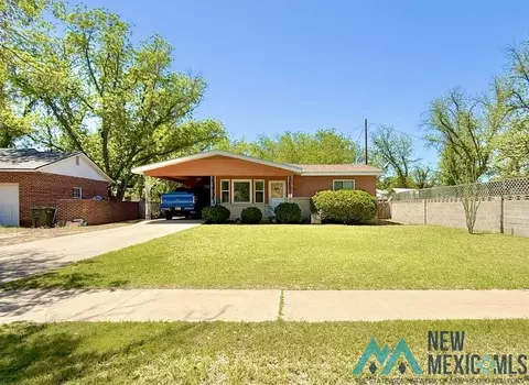 1113 N Eddy St, Carlsbad, NM 88220