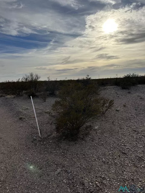 Nnnn Roadrunner Lane Lot 8, Columbus, NM 88029
