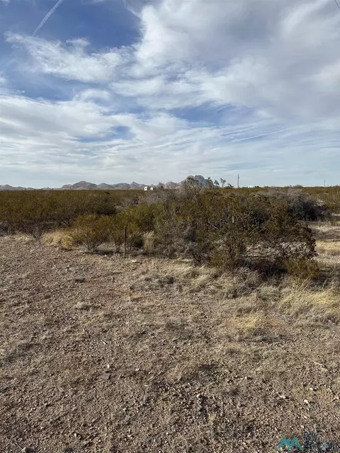 Nnnn Coyote Lane Lot 19, Columbus, NM 88029