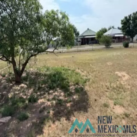 618 W Second St, Clovis, NM 88101 photo 8