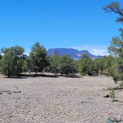 Nn Navajo Way, Datil, NM 87821