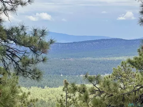tbd Oso Ridge Lookout Rd, Grants, NM 87020