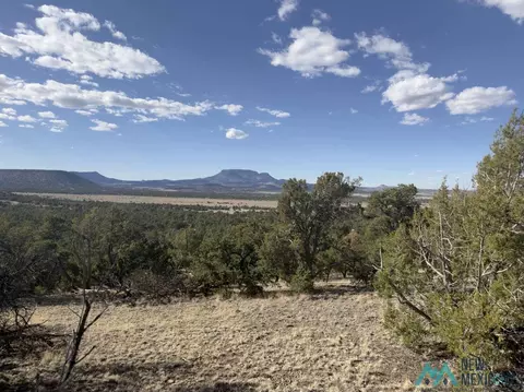 55 Crooked Arrow Dr, Datil, NM 87821 photo 11