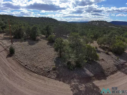55 Crooked Arrow Dr, Datil, NM 87821 photo 9