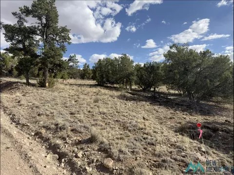 55 Crooked Arrow Dr, Datil, NM 87821 photo 7