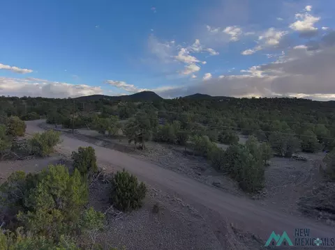 55 Crooked Arrow Dr, Datil, NM 87821 photo 10