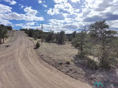 55 Crooked Arrow Dr, Datil, NM 87821 photo 8
