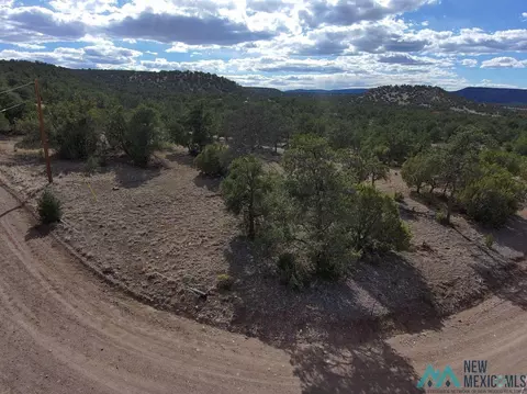 55 Crooked Arrow Dr, Datil, NM 87821 photo 9