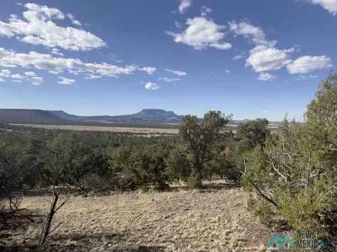 55 Crooked Arrow Dr, Datil, NM 87821 photo 11