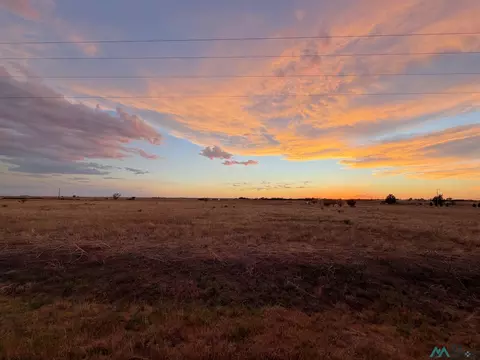 1310 Ryan Rd, Clovis, NM 88101 photo 3