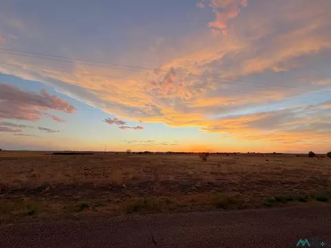 1310 Ryan Rd, Clovis, NM 88101 photo 5