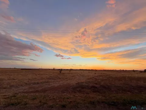 1310 Ryan Rd, Clovis, NM 88101 photo 4