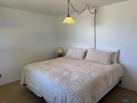 2303 540 Loop, Logan, NM 88426 photo 22