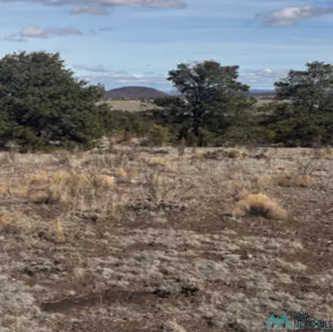 Nn Powerline Road, Quemado, NM 87829