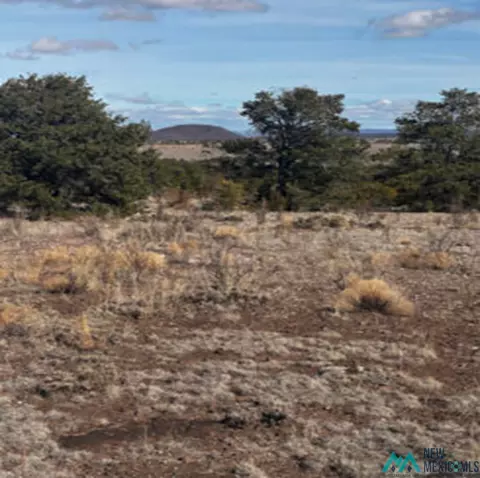 Powerline, Quemado, NM 87829