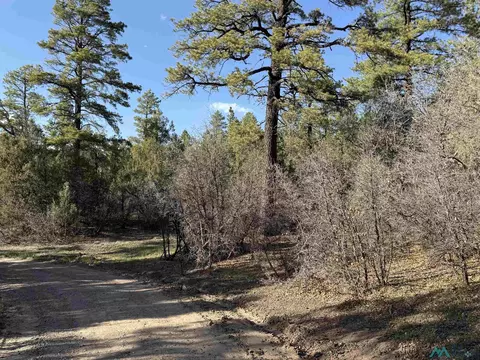 0 Private Drive 1781a Rd, Chama, NM 87520