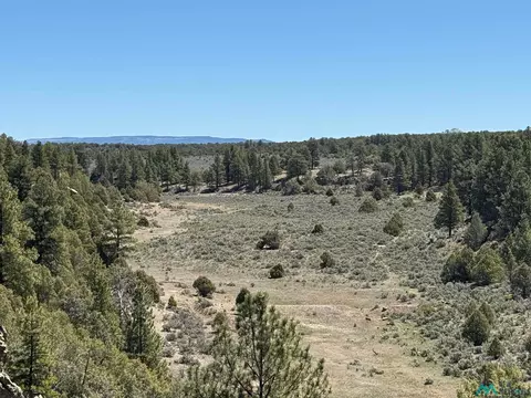 Foredst Service Road 144, Cebolla, NM 87518