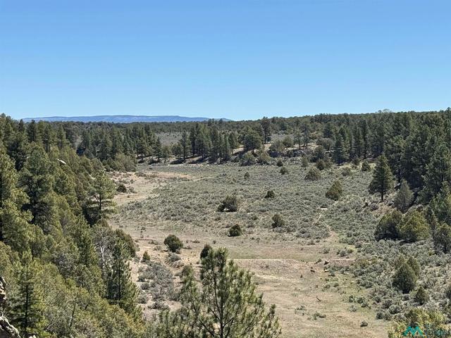 Foredst Service Road 144, Cebolla, NM 87518