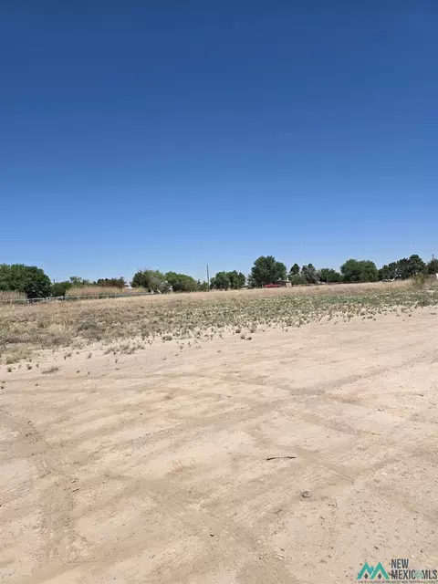1701 Portales, Roswell, NM 88201