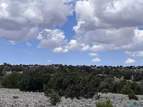 69 Wildflower Trl, Quemado, NM 87829
