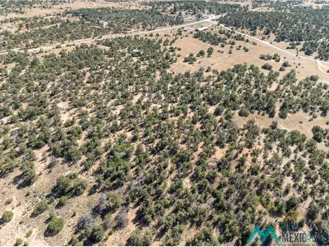 18 Five Gates, Pinehill, NM 87357 photo 22