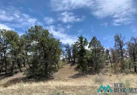 18 Five Gates, Pinehill, NM 87357 photo 2