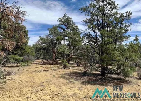 18 Five Gates, Pinehill, NM 87357 photo 8